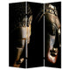 Brar 71 Inch 3 Panel Canvas Screen, Dual Sided Buddha Print, Black, Brown