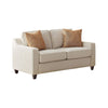 Leo 64 Inch Contemporary Loveseat with 2 Pillows, Chenille Fabric, Beige