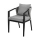 Nyla Dining Chair Set of 2 | 22’’ | Wicker | Black Aluminum | Gray BM295611