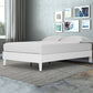 Lass Queen Size Bed Platform Style Modern Low Profile Frame Clean White By Casagear Home BM296567