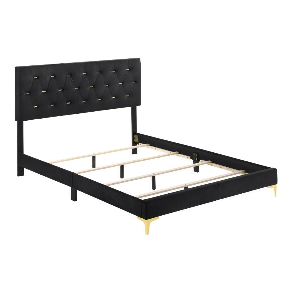 Lif Platform Queen Size Bed Panel Tufted Headboard Gold Black Velvet BM297255