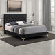 Lif Platform Queen Size Bed, Panel Tufted Headboard, Gold, Black Velvet