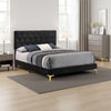 Lif Platform King Size Bed, Panel Tufted Headboard, Gold, Black Velvet By Casagear Home