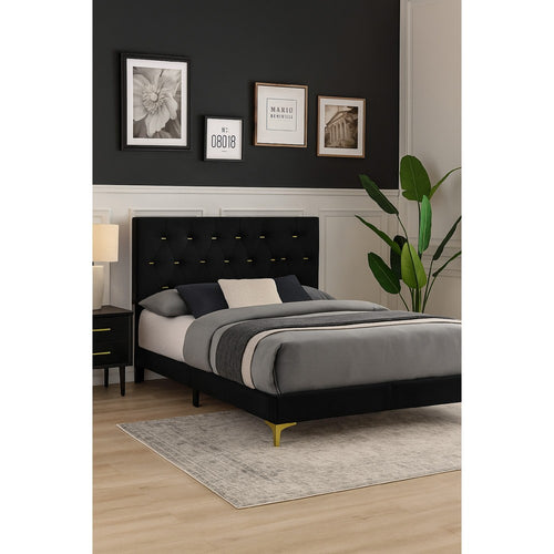 Lif Bed | California King | Platform | Tufted Headboard | Gold Black