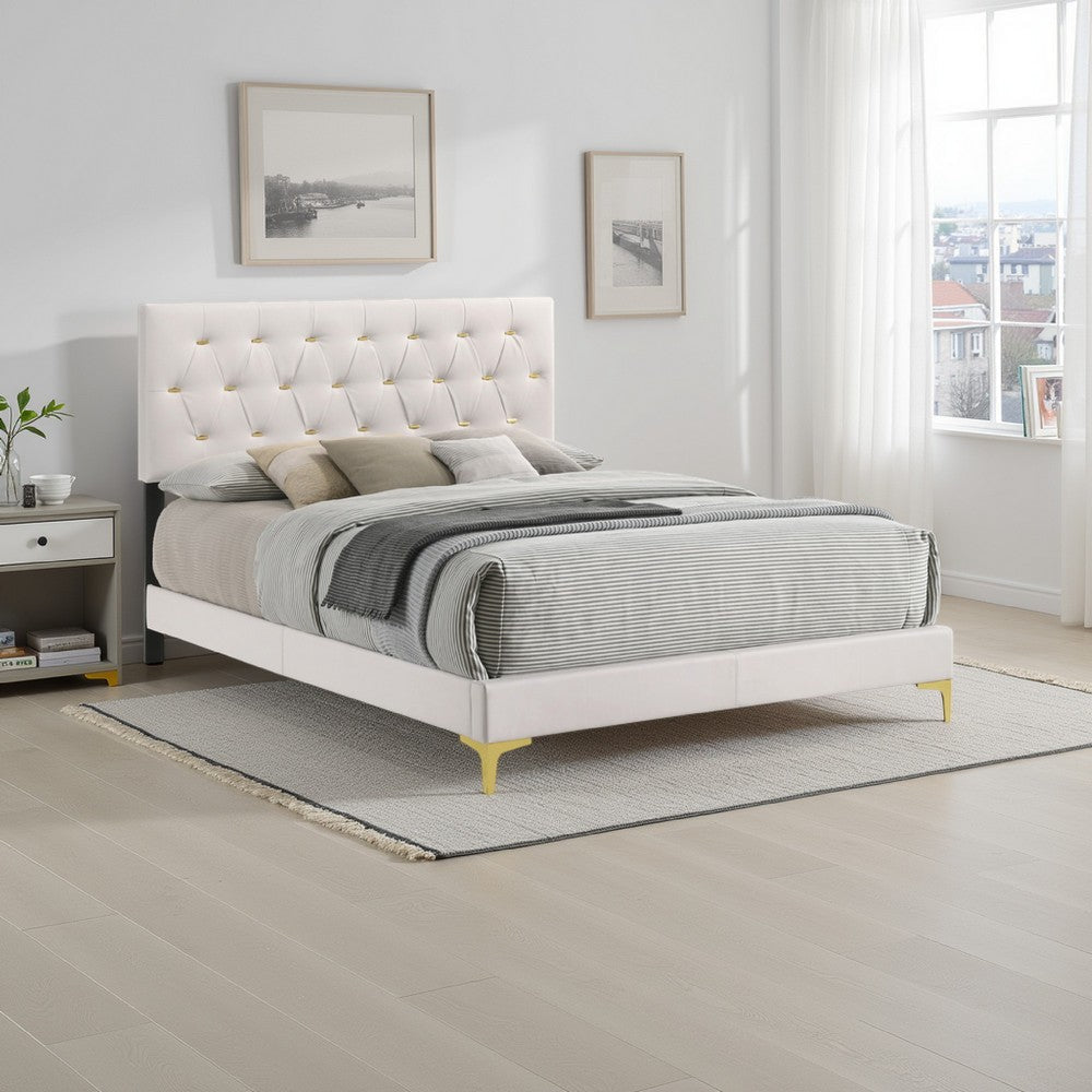 Lif Platform Queen Size Bed, Panel Tufted Headboard, Gold Legs White Velvet By Casagear Home