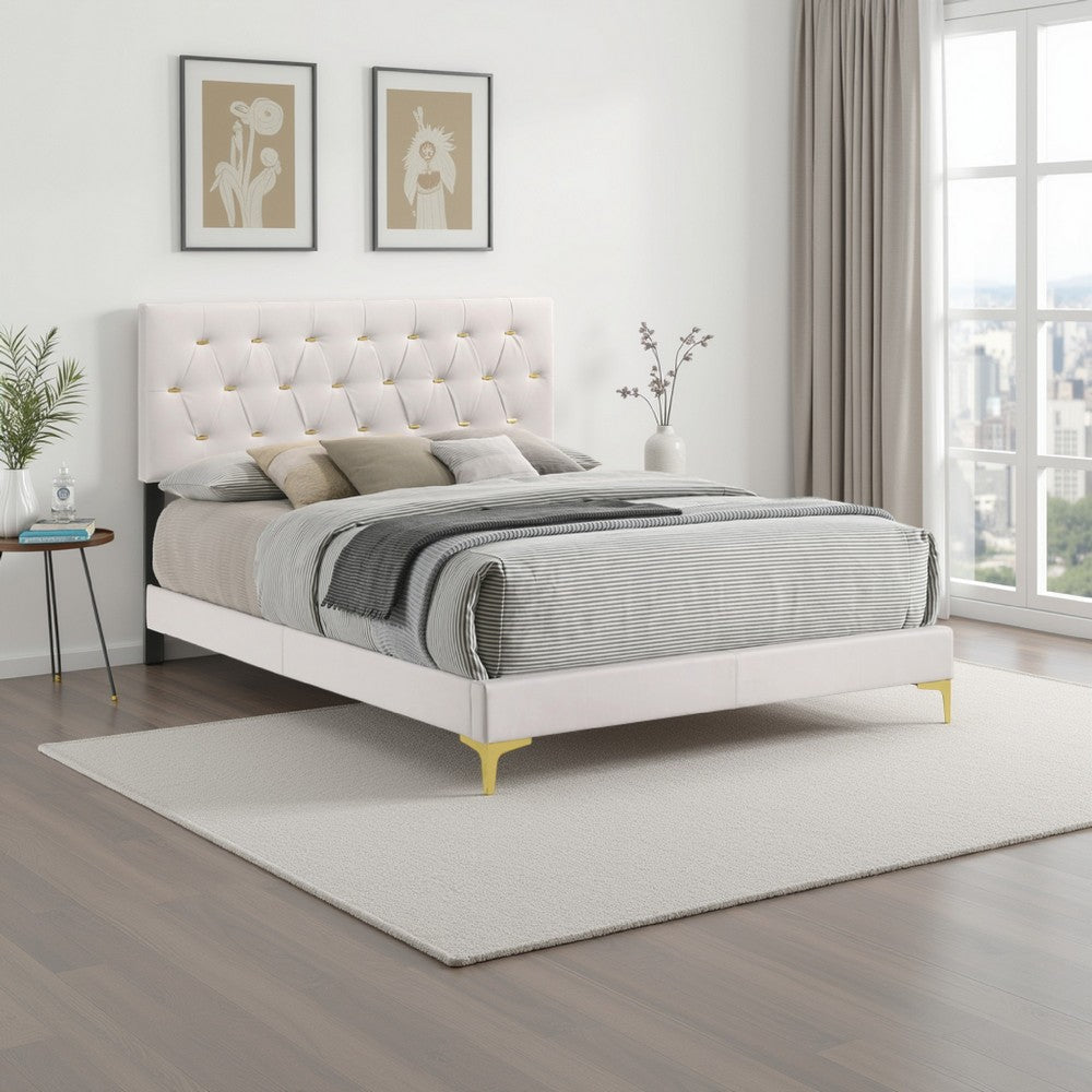 Lif Platform King Size Bed, Panel Tufted Headboard, Gold Legs, White Velvet By Casagear Home