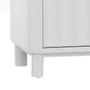 Aya 64" TV Media Entertainment Console, 3 Shelves, White by Casgear Home