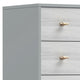 Dap 49" 5 Drawer Tall Dresser Chest, Gray, White, and Gold by Casagear Home