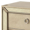 Leena 30" Nightstand, Mirror Trim, 2 Drawers, Champagne Gold By Casagear Home