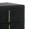 Bios 24 Inch Nightstand, 2 Drawers, Black Vegan Faux Leather, Gold Accents By Casagear Home