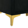 Bios 24 Inch Nightstand, 2 Drawers, Black Vegan Faux Leather, Gold Accents By Casagear Home