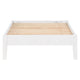 Cavi Twin Platform Bed Frame with Low Profile Tapered Legs White Wood BM302827
