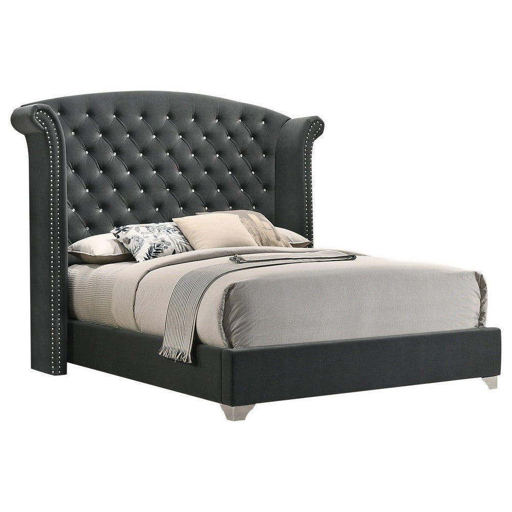 Giya Wingback Queen Bed, Tufted Headboard, Nailed Gray Velvet Upholstery