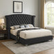 Giya Wingback Queen Bed, Tufted Headboard, Nailed Gray Velvet Upholstery