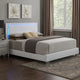 Sok King Panel Bed with LED Headboard, Low Profile Footboard, Glossy White