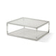 Jape 47 Inch Square Coffee Table Glass Stainless Steel Clear Acrylic BM306046