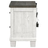 Lili 28 Inch Nightstand 2 Drawers USB and Type C Ports White Pine Wood By Casagear Home BM306666