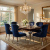Cian 22 Inch Dining Chair, Curved, Cabriole Legs, Blue Velvet, Set of 2