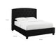 James Queen Size Bed Platform Style Button Tufted Black Velvet Upholstery By Casagear Home