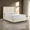 Aegis Queen Size Bed, Wingback, Channel Tufted, Cream Beige Upholstery By Casagear Home