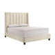 Aegis Queen Size Bed Wingback Channel Tufted Cream Beige Upholstery By Casagear Home