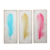 16 x 39 Inch Wall Decor Painting, Set of 3, Multicolor Feathers, Wood Frame By Casagear Home