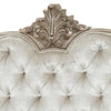 Moen Queen Size Bed Tufted Polyester Upholstery Carved Wood Champagne By Casagear Home BM308804