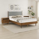 Mian Bedroom 3 pcs Set, Queen Platform Bed and Nightstand, Walnut Brown By Casagear Home