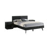 Mian Bedroom 3 pcs Set, Queen Platform Bed and Nightstand, Sleek Black By Casagear Home