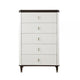 Aren 36 Inch Tall Dresser Chest Jewelry Tray 5 Drawers Solid Wood White By Casagear Home BM309467