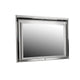 Lee 38 x 50 Dresser Mirror Modern LED Light Trim Silver Hardwood Frame By Casagear Home BM309542