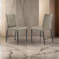 Taupe Gray and Black