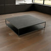 Cid Rive 48 Inch Coffee Table, Square Top, Shelf, Black Ash Veneer, Iron By Casagear Home