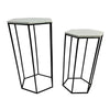 Set of 2 Plant Stand Tables Modern Hexagon Shape White Marble Top Black By Casagear Home BM312572