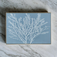 Blue and White