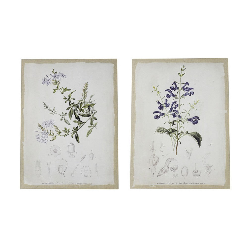 24 x 32 Set of 2 Framed Wall Art Prints Floral Modern White and Black By Casagear Home BM312798