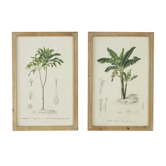 24 x 32 Framed Art Print Set of 2, Tree Design, Fir Wood, Green, Brown By Casagear Home