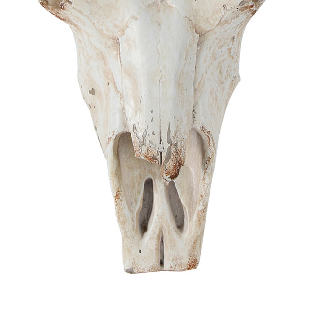 19 Inch Realistic Faux Steer Head Wall Decor, Cow Skull White, Brown Finish By Casagear Home