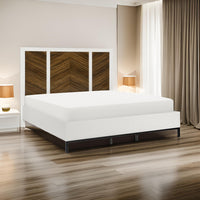 White and Brown and Black