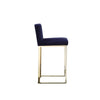Boly 26 Inch Counter Stool Chair, Cushioned Blue Velvet, Gold Cantilever By Casagear Home