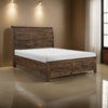 Rick Queen Size Platform Bed, Sleigh, 2 Footboard Storage, Brown Rubberwood By Casagear Home