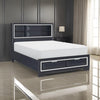 Rosy Queen Bed, 2 Storage Drawers, Bookcase, Midnight Blue Wood, Chrome By Casagear Home