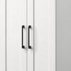 Lyn 71 Inch Storage Cabinet Wardrobe Framed Panel Doors White Engineered Wood BM314888