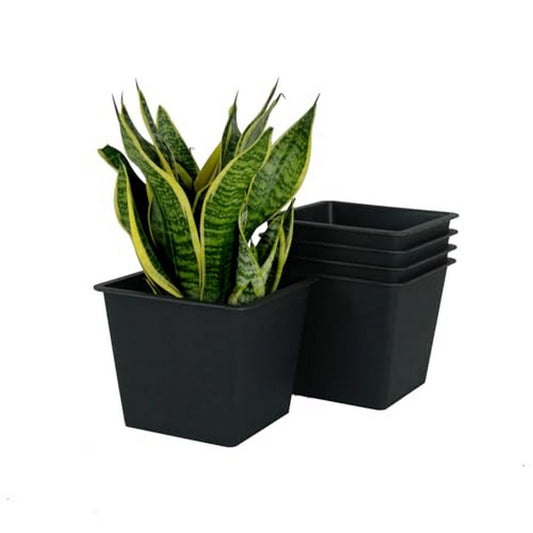 Kiti 6 Inch Set of 5 Square Nursery Planter Pots with Drainage, Black By Casagear Home