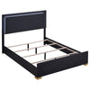Dex Platform King Size Bed Panel LED Headboard Black Wood Melamine Finish By Casagear Home