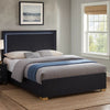 Dex Platform Queen Bed, Panel LED Headboard, Black Wood Melamine Finish By Casagear Home