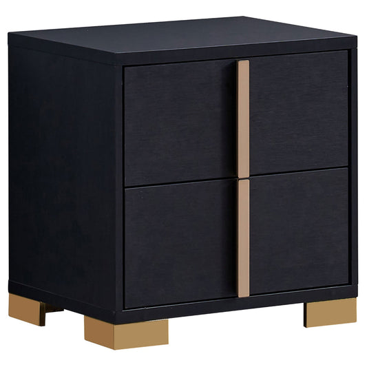Dex 22 Inch Nightstand, 2 Drawers with Long Vertical Gold Handles, Black By Casagear Home
