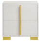 Dex 22 Inch Nightstand 2 Drawers with Long Vertical Gold Handles White By Casagear Home BM315294