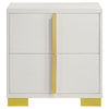 Dex 22 Inch Nightstand 2 Drawers with Long Vertical Gold Handles White By Casagear Home BM315294