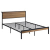 Rick Full Size Platform Bed, 1 Shelf, Retro Style, Black Metal Frame, Brown By Casagear Home